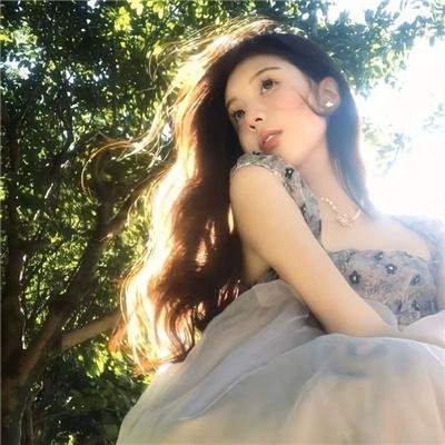 阳光下的石头