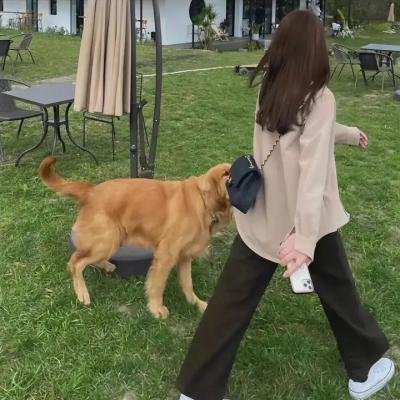 男孩与桥